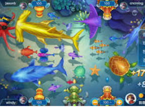 6686下载2024最新版